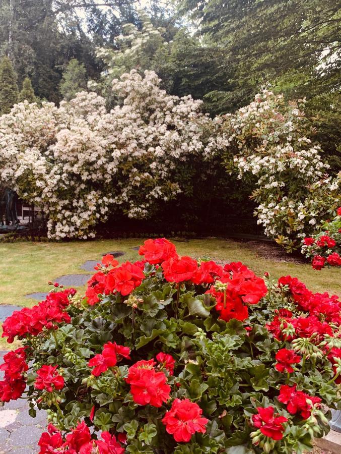 Villa Am Suedpark Bad Nauheim Kültér fotó